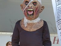 DSC 0879- web